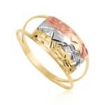 Anel em Ouro 18kts AN19 - Imagem 2