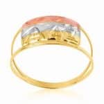 Anel em Ouro 18kts AN19