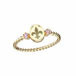 Anel de Formatura em Ouro 18kts ANF13