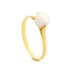 Anel em Ouro 18kts AN03