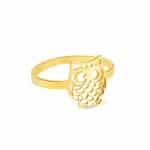 Anel de Formatura em Ouro 18kts ANF26