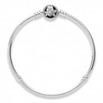 Pulseira em Prata PP07