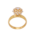 Anel em Ouro 18kts AN111