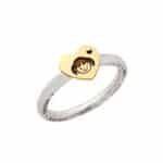 Anel em Prata e Ouro 18kts AN120