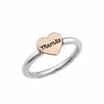 Anel em Prata e Ouro 10kts AN122