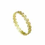 Anel em Ouro 18kts AN144