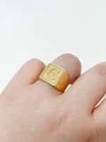 Anel em Ouro 18kts AN147 - Imagem 2