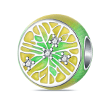 Berloque em Prata BL529