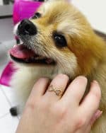 Anel em Ouro BX 416 ANB124 - Imagem 2