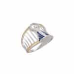 Anel em Prata e Ouro 10kts ANP103