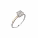 Anel em Prata e Ouro 10kts ANP109