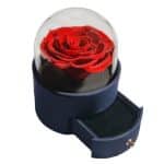 Caixa de Presente CX96