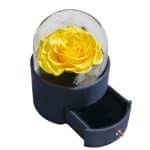 Caixa de Presente CX97