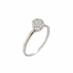 Anel em Prata e Ouro 10kts ANP147