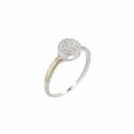 Anel em Prata e Ouro 10kts ANP149