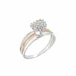 Anel em Prata e Ouro 10kts ANP148