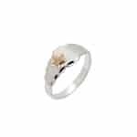 Anel em Prata com Detalhe em Ouro BX 416 INFANTIL ANPI09