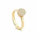 Anel em Ouro 18kts AN176