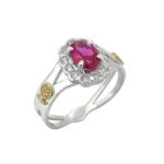 Anel de Formatura em Prata com Ouro 18kts ANP172