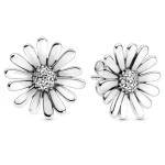 Par de Brincos Em Prata BRP74