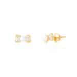 Par de Brincos 18kts BR295