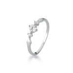 Anel em Prata ANP217