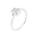 Anel em Prata ANP266