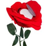 Caixa de Presente CX129